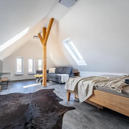 Apartment Podkrovni Studnice